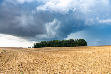 Formation de cumulonimbus d'orage au dessus d'un champ. Ciel très nuageux, arrivée de la pluie - obrazy, fototapety, plakaty