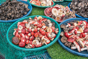 Russula emetica (Schaeff.) Pers. The Sickener red mushroom pile in a plastic pan on stall in the local outdoor forest market in the northeast of Thailand in the rainy season.