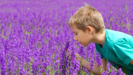Young Boy Smells Violet Delphinium Flowers in Field Early Spring. Happiness Concept of Childhood in...