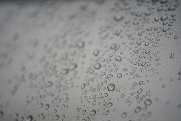 Water droplets on a gray background 
