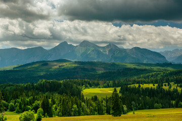 Tatra Mountains landscape, lush green meadows and trees at summer