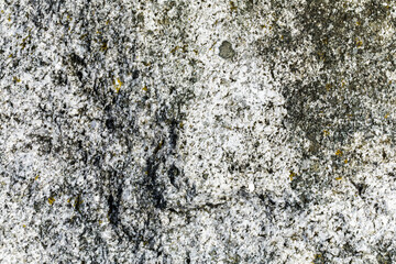 Urban Stone Grunge Texture Background
