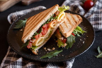 Toast sandwich with cheese, tomatoes and vegetables