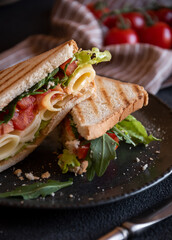 Toast sandwich with cheese, tomatoes and vegetables