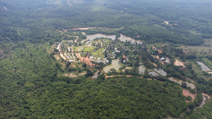 Fototapeta na wymiar View of a forest in laos