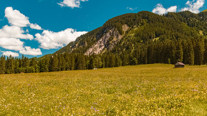 Beautiful alpine summer view at the famous Vilsalpsee, Tannheimer Tal valley, Tannheim, Tyrol, Austria
