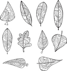 Set of isolated black and white leaves in Zentangle style, designed as elements for adult coloring books. Features intricate patterns and details perfect for relaxation and creativity.