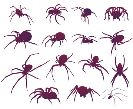 Set of scary spiders silhouettes