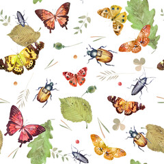 Watercolor illustration. Pattern of butterflies, beetles, leaves, herbs and plant branches. Watercolor freehand drawing of flowers on a white background.