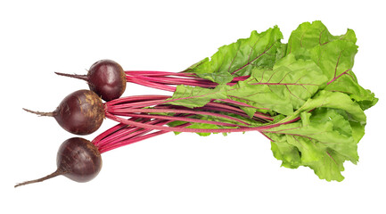 fresh beetroot isolated on white. the entire image in sharpness.