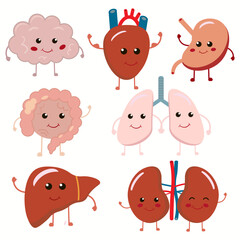 Cute strong happy human healthy strong organs set. Vector cartoon character illustration icon design. Isolated on white background