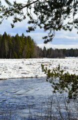 Ice run on Koitelinkoski Kiiminkijoki Oulu Finland. Ice floats in small chunks and large rafts down the river.