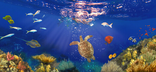 Colorful coral reef with many fishes and sea turtle. The people at snorkeling underwater tour at the Caribbean Sea at Honeymoon Beach on St. Thomas, USVI © Solarisys