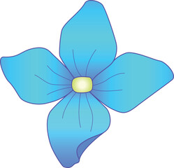 Flower from hydrangea inflorescence - vector full color element. blue hydrangea flower