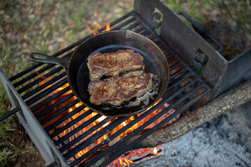 Campfire Grilled Ribeye Steak