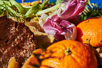 View into a bio container with various organic wastes for recycling.