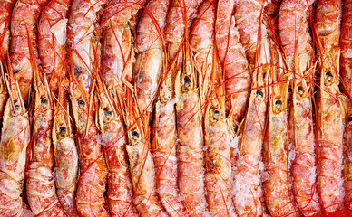 Frozen langoustines, shrimp. Top view