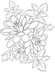 isolated , hand drawn vector illustration blossom dahlia flower botanical and branch vector illustration floral bud leaf collection, coloring page and book for adult.
