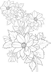 black and white flower dahlia isolated hand drawn illustration engraved ink art, coloring page for adult