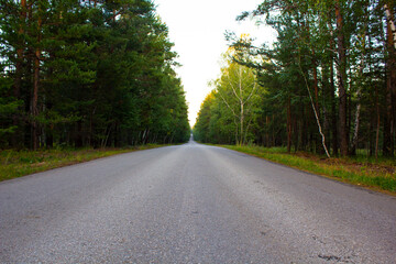 Rest in the north of Kazakhstan near Imantau lake, front and back background is blurred