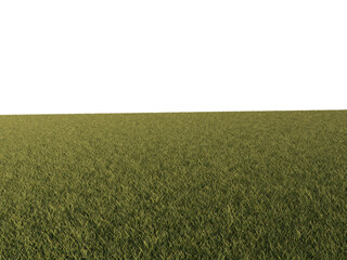 Obraz premium Grass Foreground Floor with Perspective, Transparent Background PNG