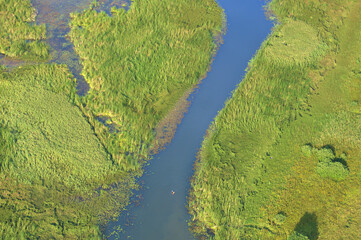 Aerial view - river between wetlands