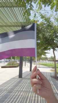 Female hand hold Asexual flag LGBT+ parade.