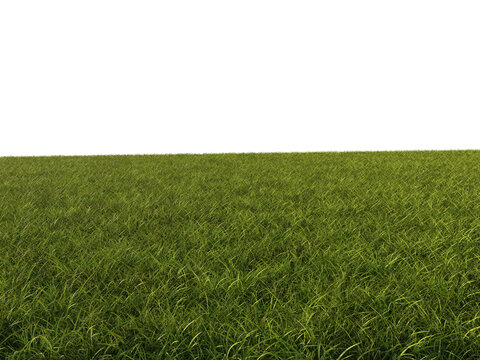 Grass Foreground Floor with Perspective, Transparent Background PNG

