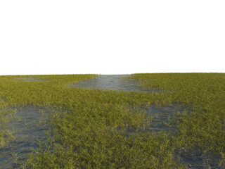Grass Foreground Floor with Perspective, Transparent Background PNG

 - obrazy, fototapety, plakaty