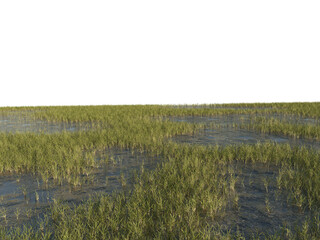 Grass Foreground Floor with Perspective, Transparent Background PNG

