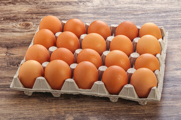 Organic chicken egg in the carton