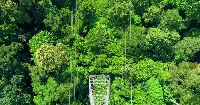 Tower of power lines in the forest. Ariel view electric tower line in Landscape view with Electricity. 4K