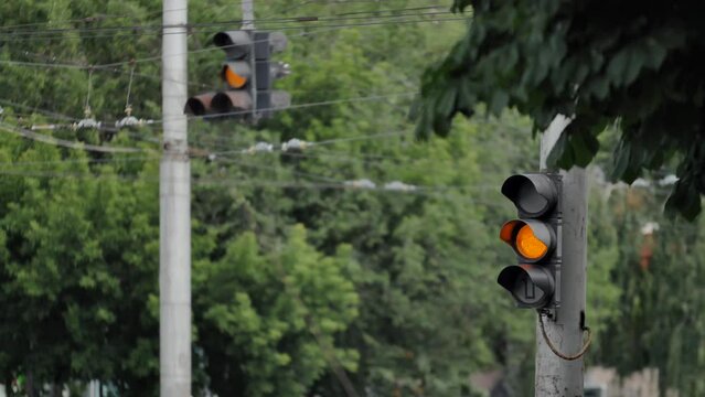 Two traffic lights on the background of trees. A flashing green traffic light switches to yellow and then to a red stop signal. Regulated intersection on a city road.