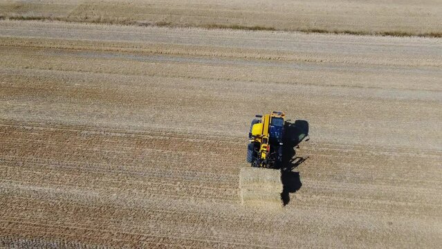 British Agricultural and Harvesting Fields Farms at Sunset Time. High Angle Footage taken with drone's camera on a hot summer day of England. Agricultural Farms and Working Machines at Dunstable Downs