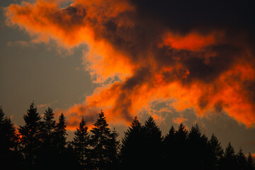 Fototapeta na wymiar fire look cloud in the sky