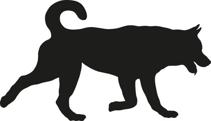 Running american akita puppy. Black dog silhouette. Pet animals. Isolated on a white background.