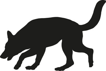 Walking and sniffing german shepherd dog puppy. Black dog silhouette. Pet animals. Isolated on a white background. - obrazy, fototapety, plakaty
