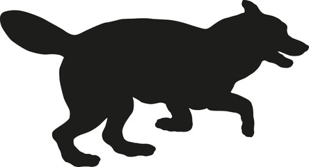 Black dog silhouette. Jumping and running siberian husky puppy. Pet animals. Isolated on a white background.