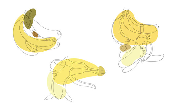 banana one line vector image outline