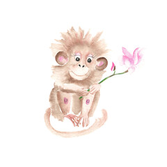 Cute monkey with magnolia flower isolated on white background. Watercolor hand drawn illustration. Perfect for kid cards and posters, clothes prints and wallpaper design, scrapbooking.