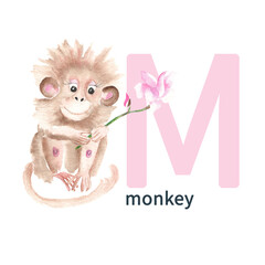 Letter M, monkey, cute kids animal ABC alphabet. Watercolor illustration isolated on white background. Can be used for alphabet or cards for kids learning English vocabulary and handwriting