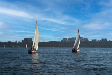 Sailing yacht regatta. Sailboats under sail in the race. Yachting. Luxury yachts.