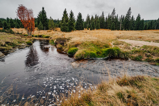 Jizera Bilder Durchsuchen 3,829 Archivfotos, und