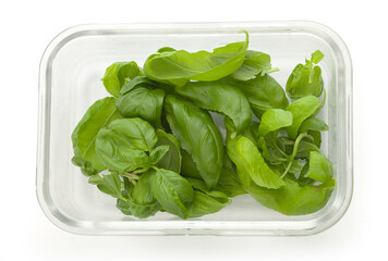 Basil in the glass container
