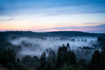 Morgennebel am Totengrund in der Lüneburger Heide