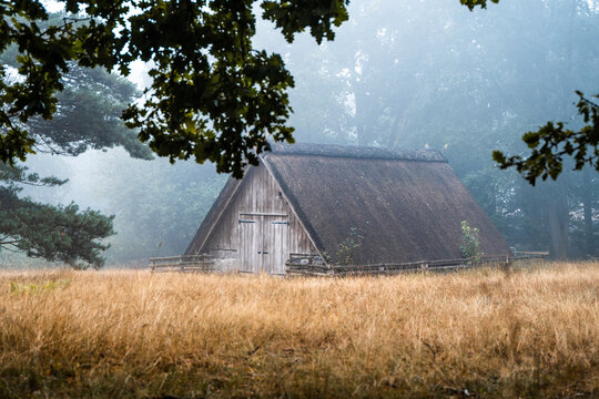 Scheune im Morgennebel