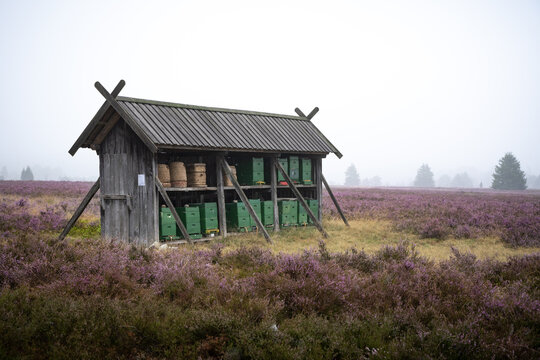 Unterstand f&uuml;r Bienenv&ouml;lker in der L&uuml;neburger Heide