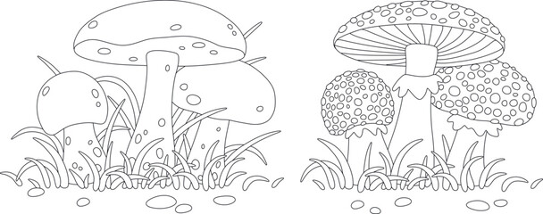Poisonous fly agarics with spots and edible forest mushrooms, black and white vector cartoon illustrations for a coloring book page