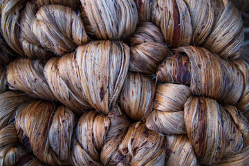 Thick Golden bundle of Wet raw jute fiber Texture Background