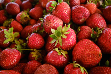 Red ripe strawberries heap on a country farmer market stall